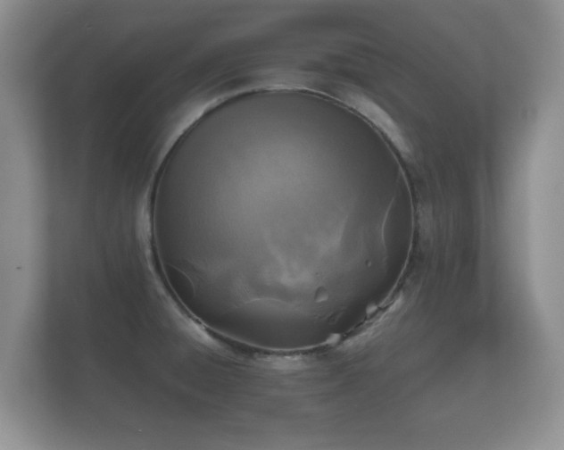 X0000112151428200908141205