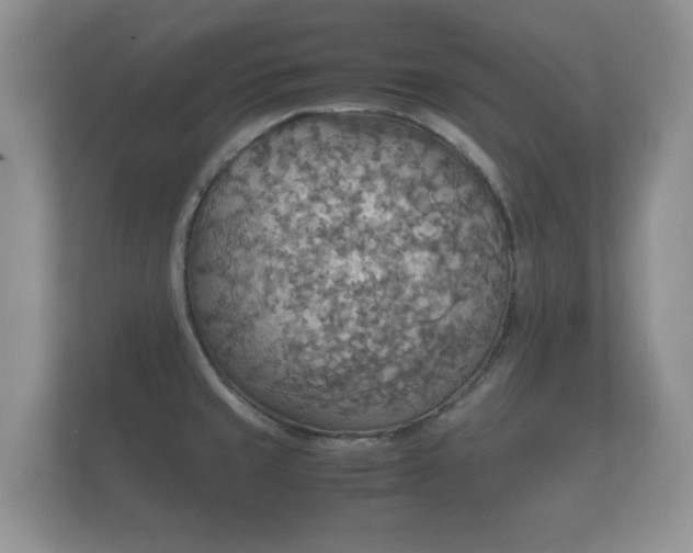 X0000112151429200908141205
