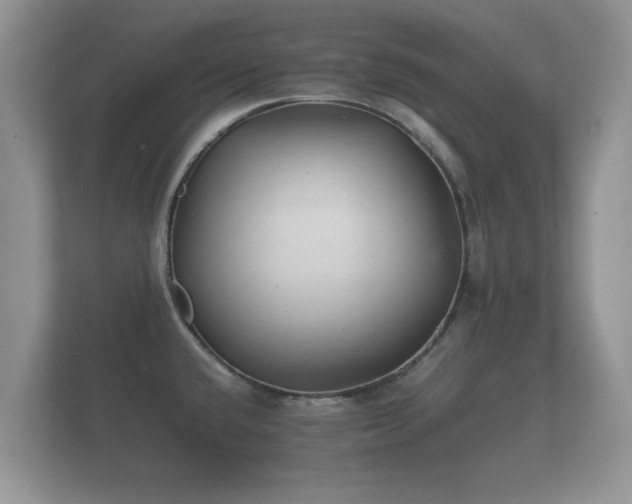 X0000112151432200908141205