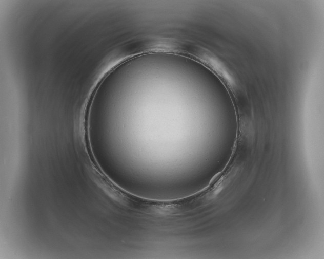X0000112151435200908141206