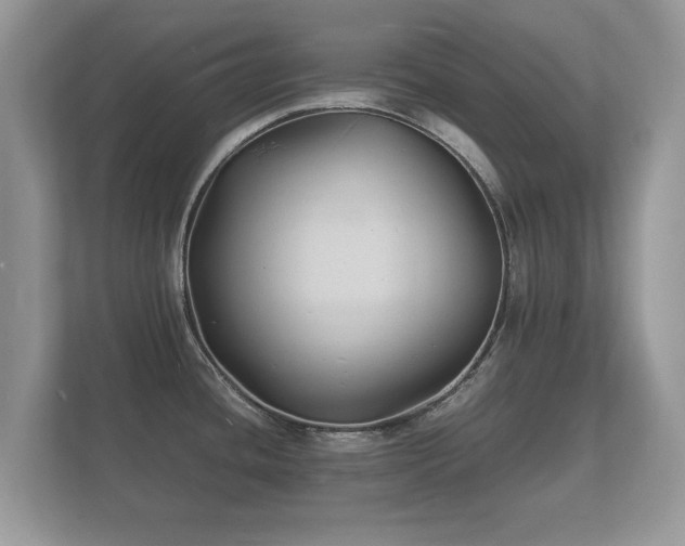 X0000112151436200908141206