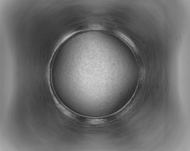 X0000112151439200908141206