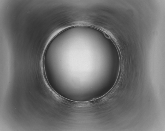X0000112151440200908141206
