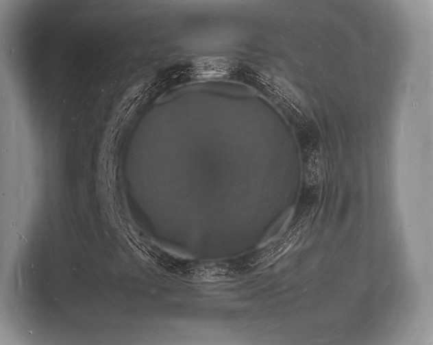 X0000112151441200908141205