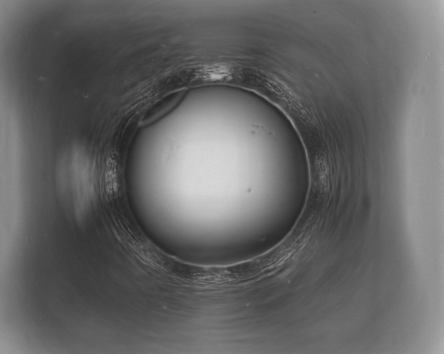 X0000112151442200908141205