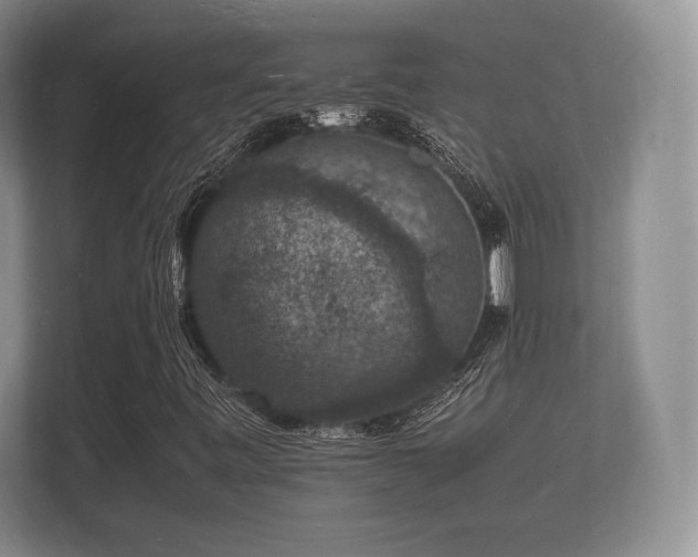 X0000112151443200908141205