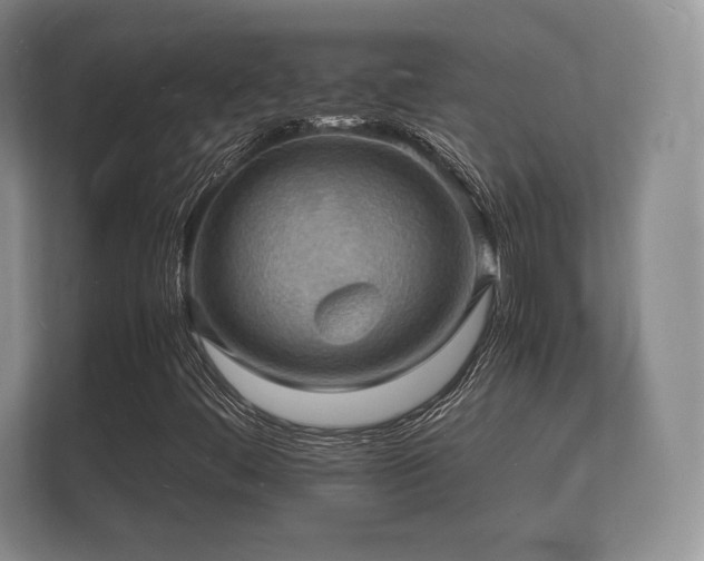 X0000112151444200908141205