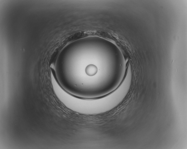 X0000112151445200908141205