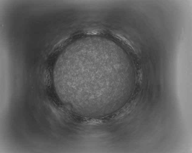 X0000112151446200908141205