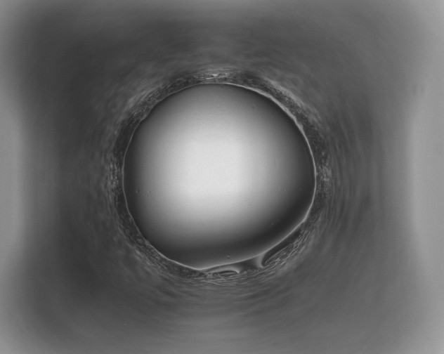 X0000112151447200908141205