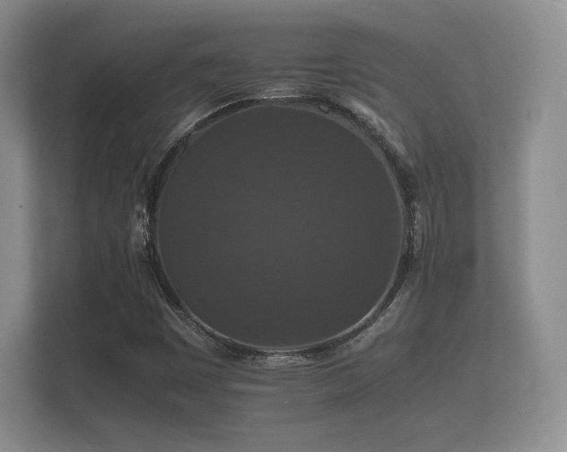 X0000112151449200908141205