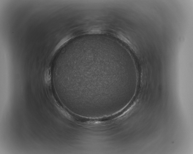 X0000112151450200908141205