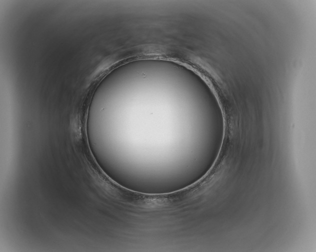 X0000112151451200908141205