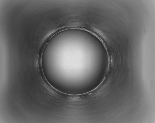 X0000112151452200908141205