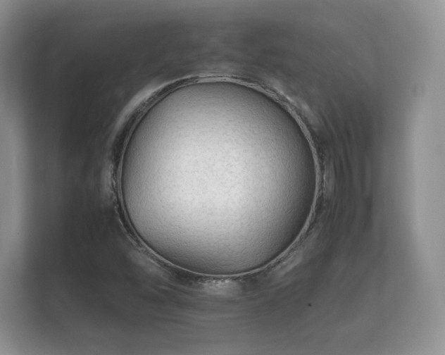 X0000112151454200908141205