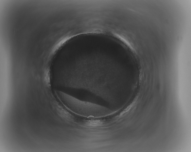 X0000112151455200908141205