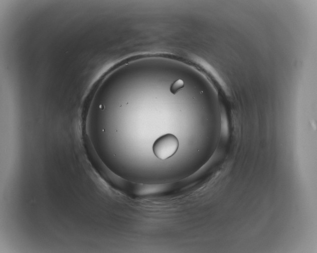 X0000112151460200908141205