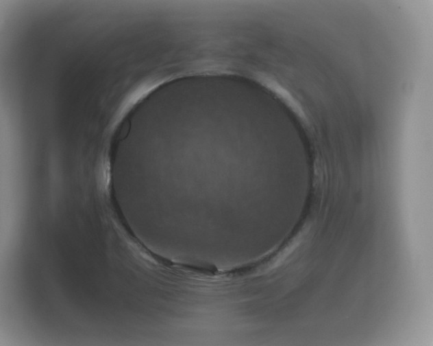 X0000112151461200908141205