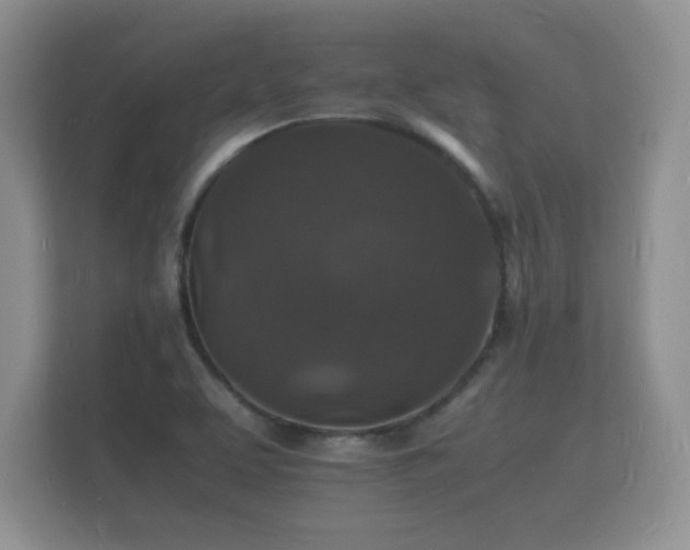 X0000112151463200908141205