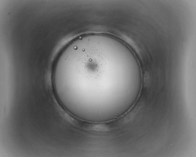 X0000112151464200908141205