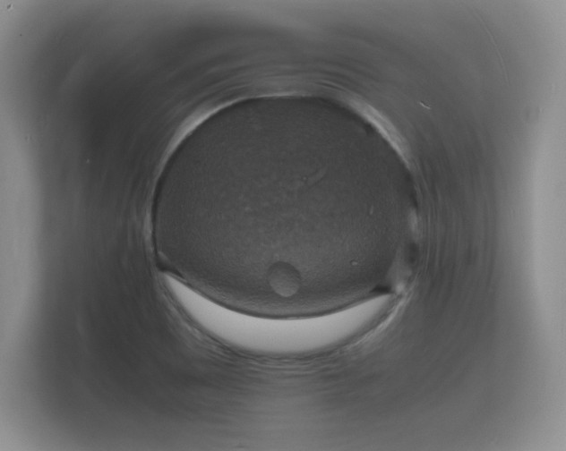 X0000112151465200908141205