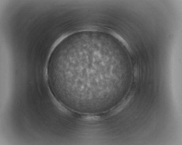 X0000112151466200908141205