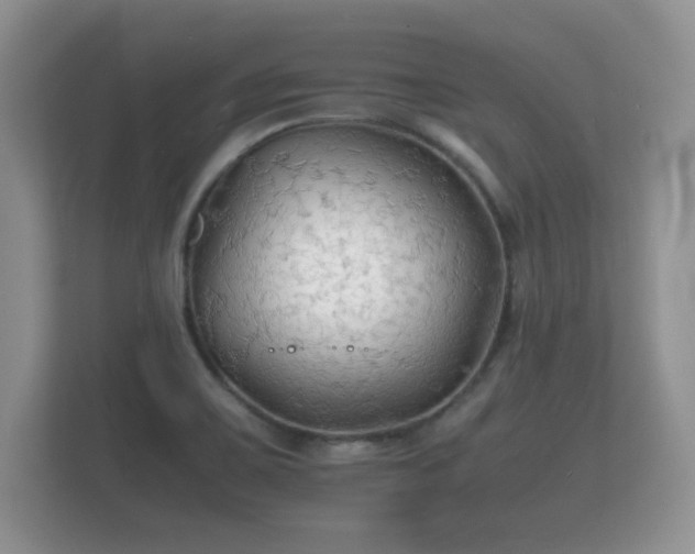 X0000112151467200908141205