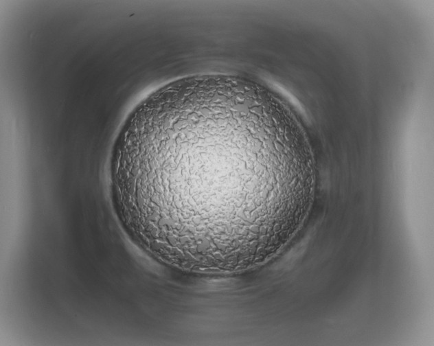 X0000112151471200908141205