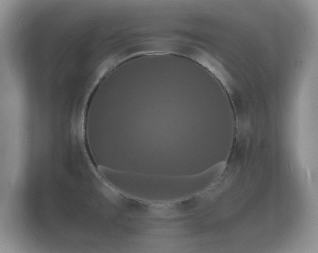 X0000112151477200908141205