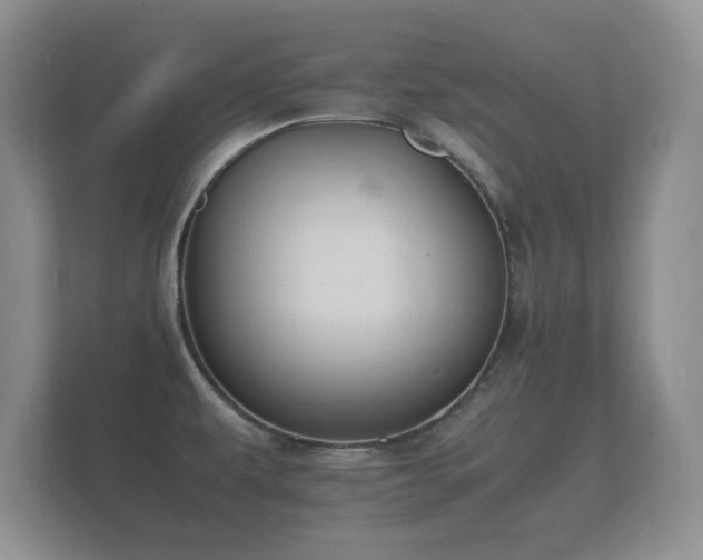X0000112151479200908141204
