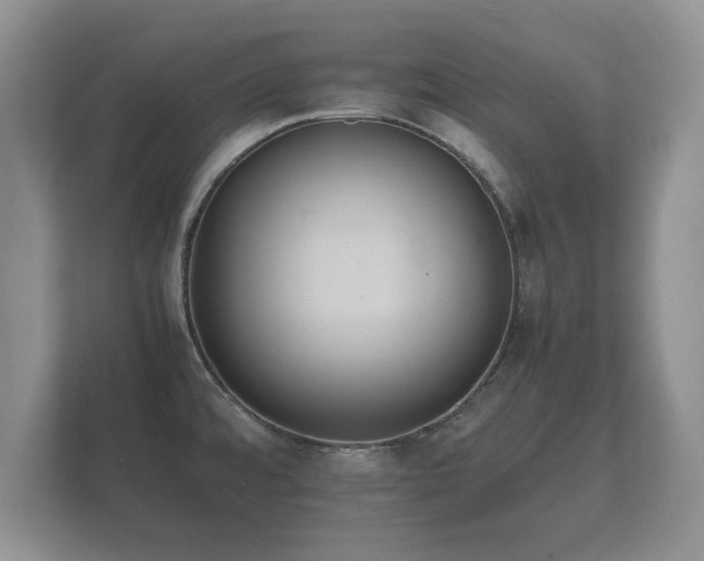 X0000112151480200908141204