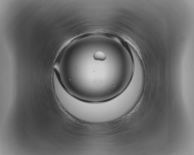 X0000112151481200908141204