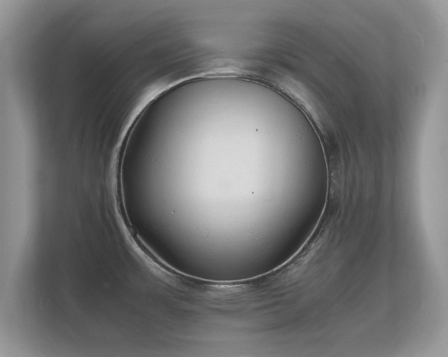 X0000112151483200908141204