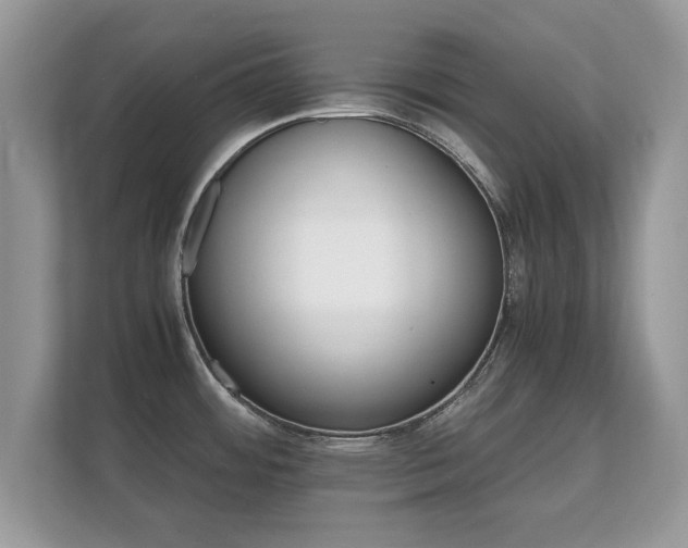 X0000112151484200908141204