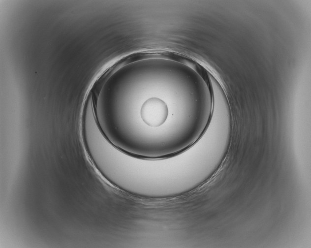 X0000112151485200908141204