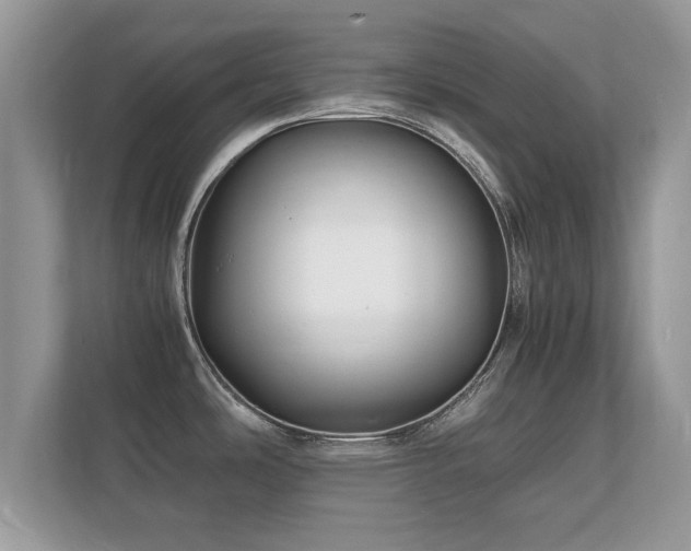 X0000112151486200908141204
