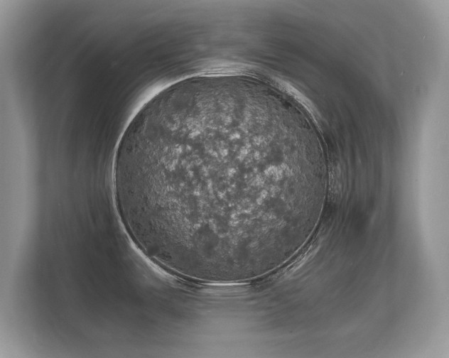 X0000112151487200908141204