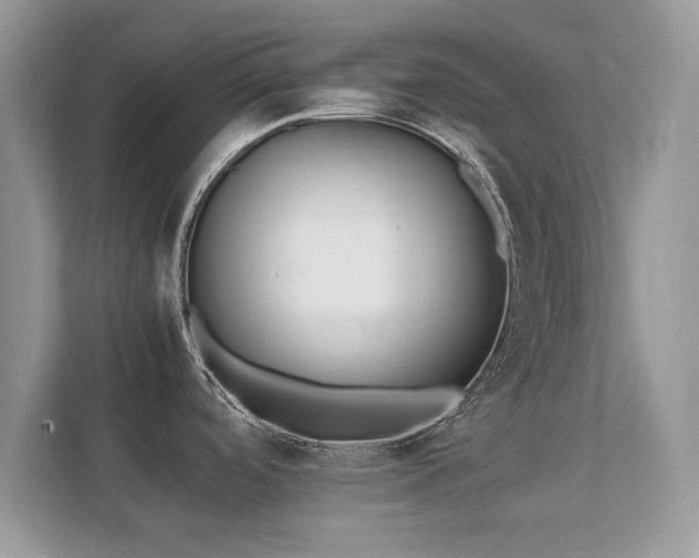 X0000112151488200908141204