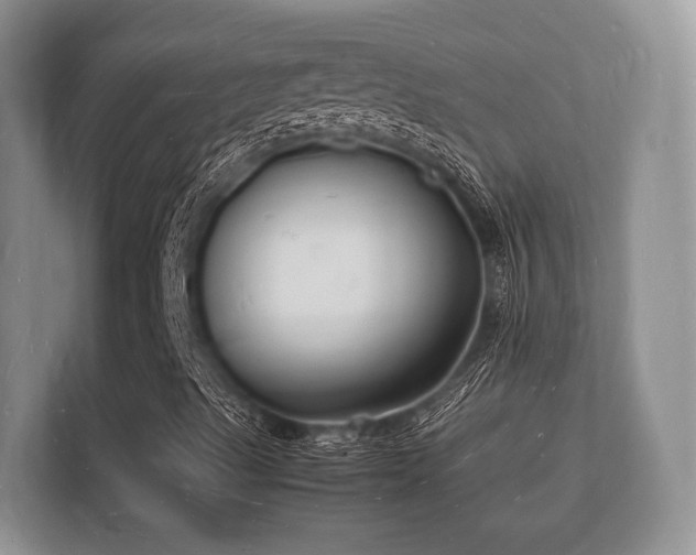 X0000112151489200908141204