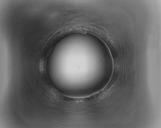 X0000112151490200908141204