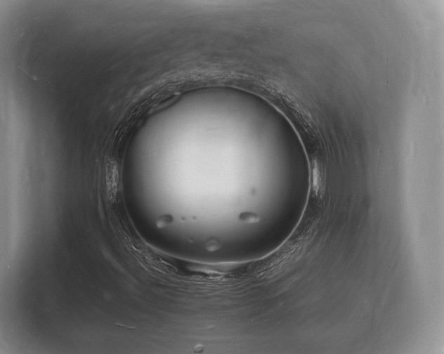 X0000112151492200908141204