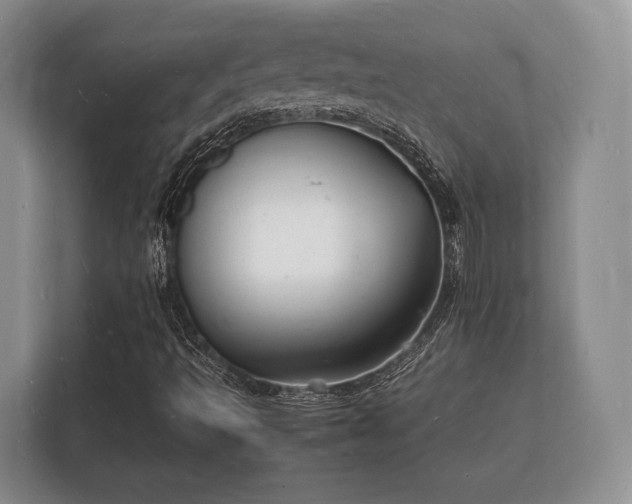 X0000112151493200908141204