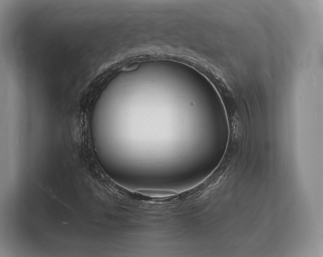 X0000112151494200908141204