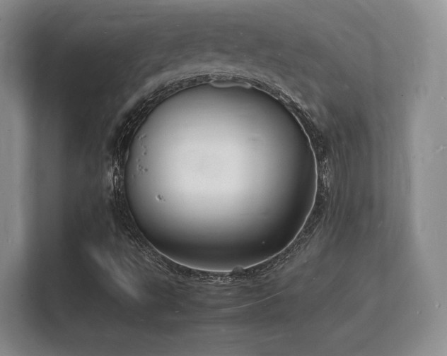 X0000112151495200908141204