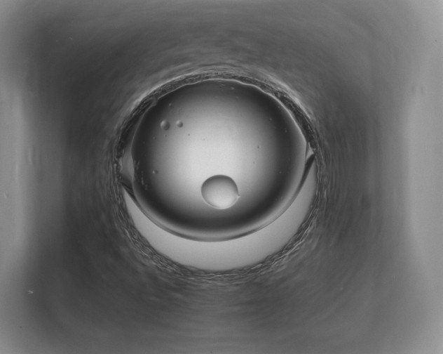 X0000112151496200908141204
