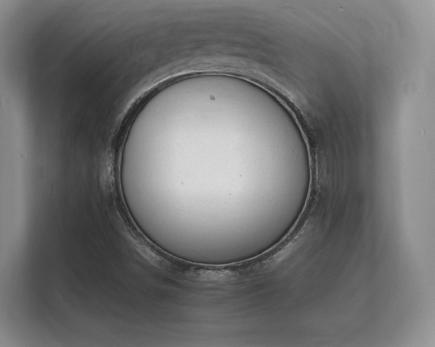 X0000112151498200908141204
