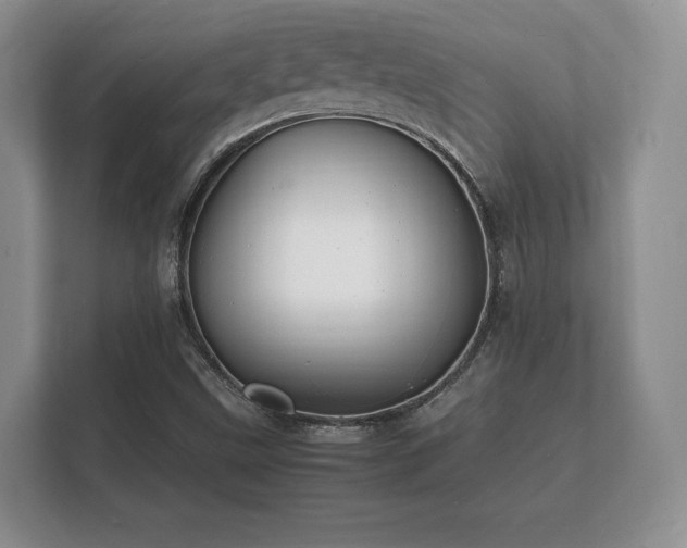 X0000112151499200908141204