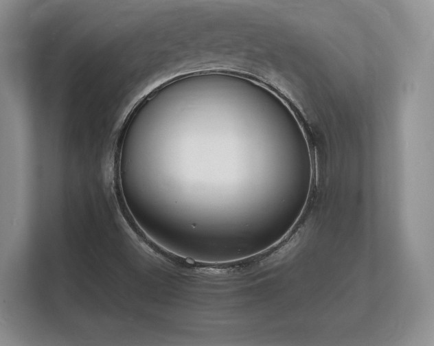 X0000112151500200908141204