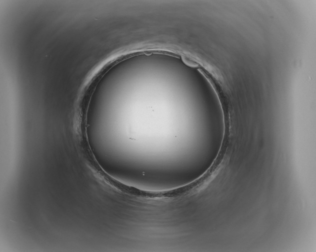 X0000112151502200908141204