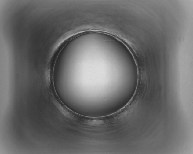 X0000112151503200908141204